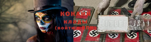 шишки Армянск