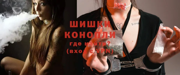 шишки Армянск