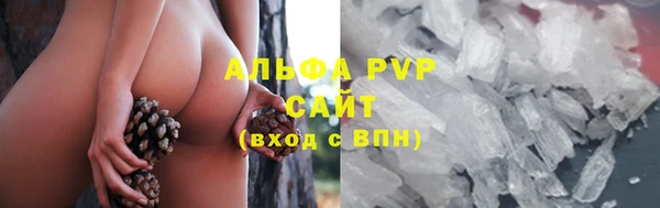 шишки Армянск