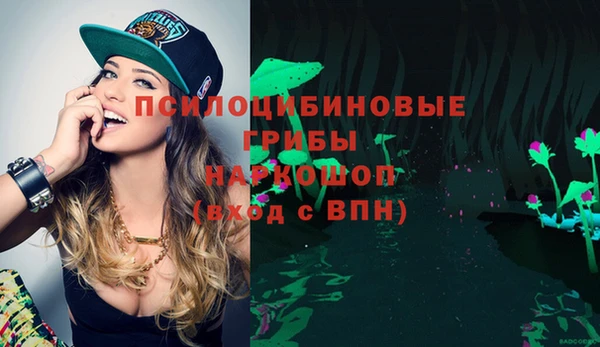 шишки Армянск