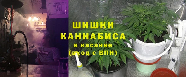 шишки Армянск